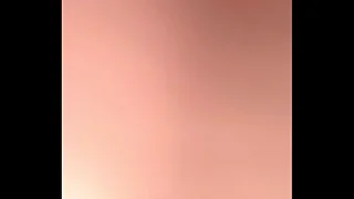 Wolford pantyhose pinchbeck twitting